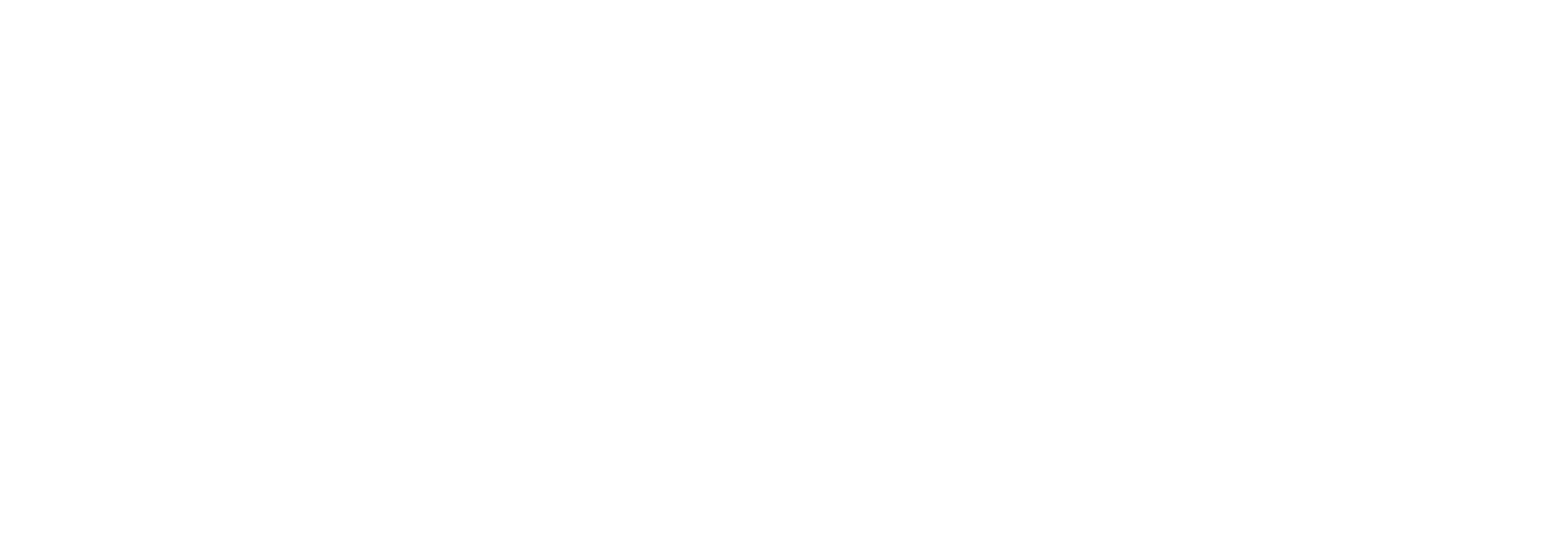 Sentinel Chip